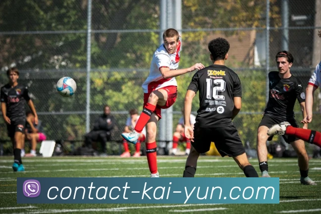 开云APP 高清赛事图